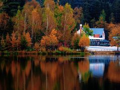 -五营红松林海景区