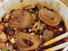 -爪爪西施