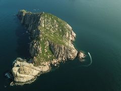 -东郊椰林