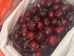 -油麻地果栏