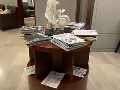 -虹桥机场国航贵宾室v8