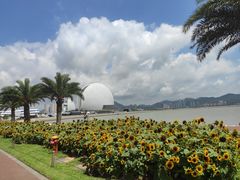 -野狸岛
