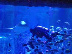 -沈阳海洋探索中心