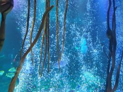 -沈阳海洋探索中心