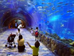 -华夏文旅海洋公园