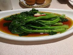 -天福苑(崇宁路店)