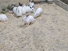 -秦皇岛新澳海底世界