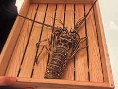 -香樟花园法式铁板烧(恒隆广场店)