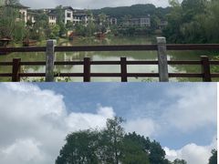 -铁山坪森林公园