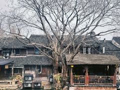 -乌镇西栅景区