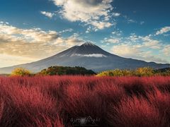 -富士山吉田線五合目