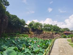 -广州莲花山旅游区