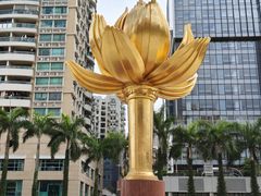 -金莲花广场