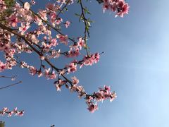 -美兰湖景区