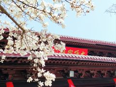 -灵谷景区
