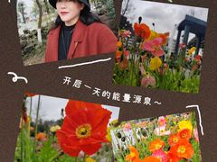-温江公园