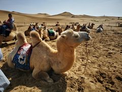 -亿利库布其七星湖沙漠生态旅游区