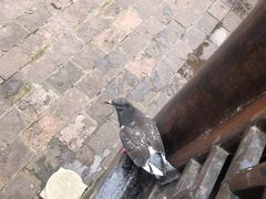 -沈从文故居