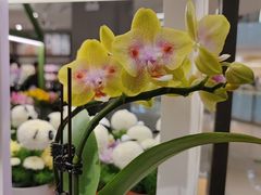 -鹿岛生活(熙地港店)