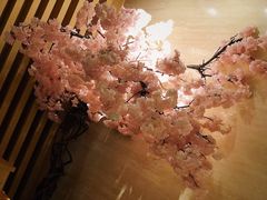 -紫· 割烹  Kappo Murasaki