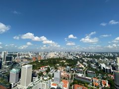 -新加坡瑞士史丹福酒店