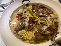 老坛酸菜鲈鱼-江渔儿酸菜鱼(港湾1号店)