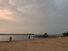 -瑶湖郊野森林公园