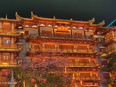 -大佛寺高级素食自助餐厅
