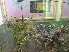 -上海昆虫博物馆