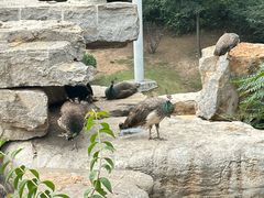 -太原动物园