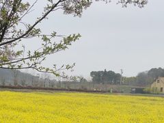 -花博汇(知音花月夜)