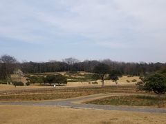 -宜兴龙背山森林公园