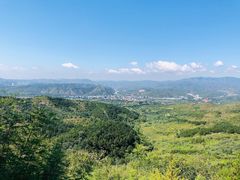 -磬锤峰森林公园