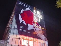 -真地道京味府·鲜橙烤鸭·北京菜(朝外大街东大桥店)