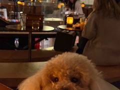 -漾应的火塘(蟠龙新天地店)