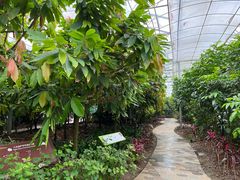 -歌斐颂巧克力小镇