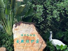 -福田红树林生态公园