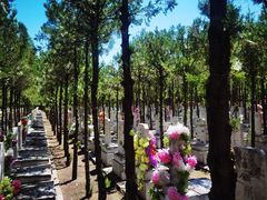 -北京市八达岭人民公墓