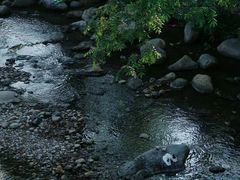 -庐山风景名胜区