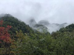 -陕西省红河谷森林公园