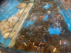 -舌尖上·霞浦滩涂海鲜·新闽菜(总店)