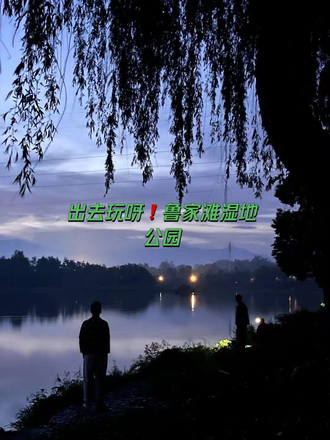 鲁家滩湿地公园