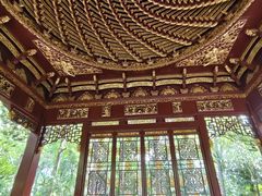 -汇龙潭