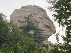 -橘子洲景区