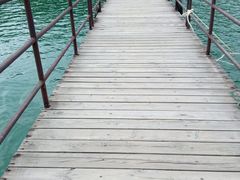 -广州市流溪河国家森林公园