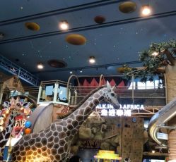 -卡通尼·Safari非洲探索乐园·生日会(金桥国际商业广场店)