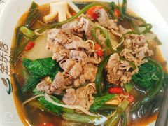 -金乐活美食(中街店)