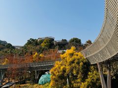 -福道