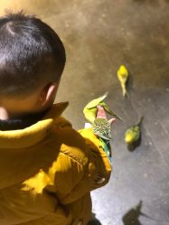 -酷嗒动物文化乐园(cutezoo西溪乐天城店)