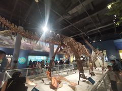 -国家自然博物馆